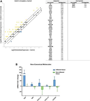 Noncanonical NF-κB Signaling Upregulation in Inflammatory Bowel Disease Patients is Associated With Loss of Response to Anti-TNF Agents